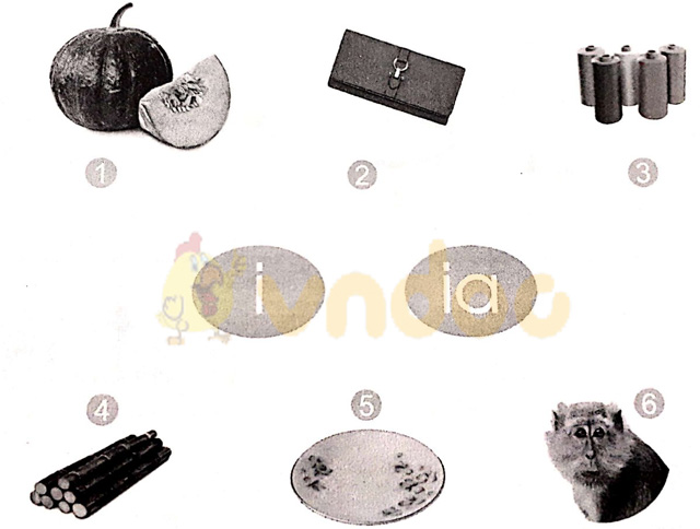 Giải vở bài tập Tiếng Việt 1 Cánh Diều Bài 13: i, ia