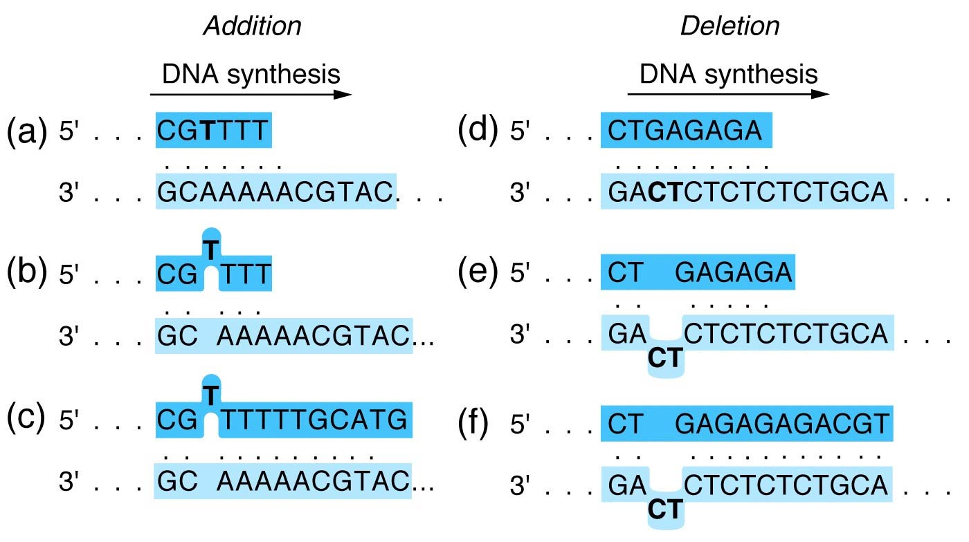Một số chuyên đề bồi dưỡng học sinh giỏi môn Sinh học lớp 12