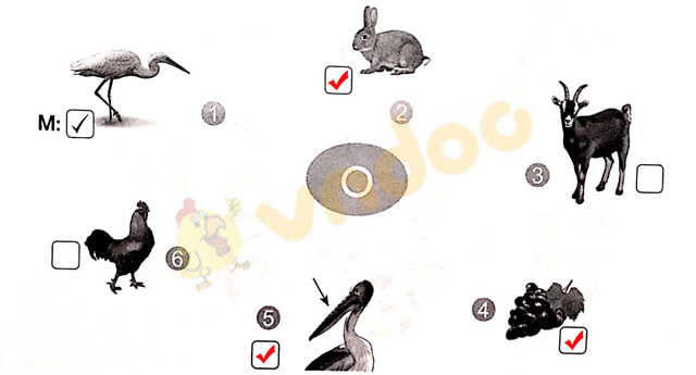 Giải vở bài tập Tiếng Việt 1 Cánh Diều Bài 4: o, ô