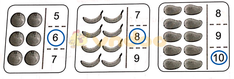 Giải vở bài tập Toán lớp 1 sách Cánh Diều bài 7