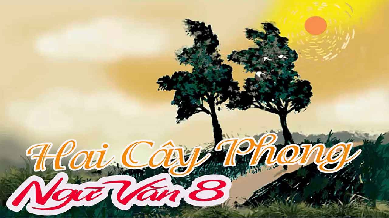 Mở bài văn bản Hai cây phong