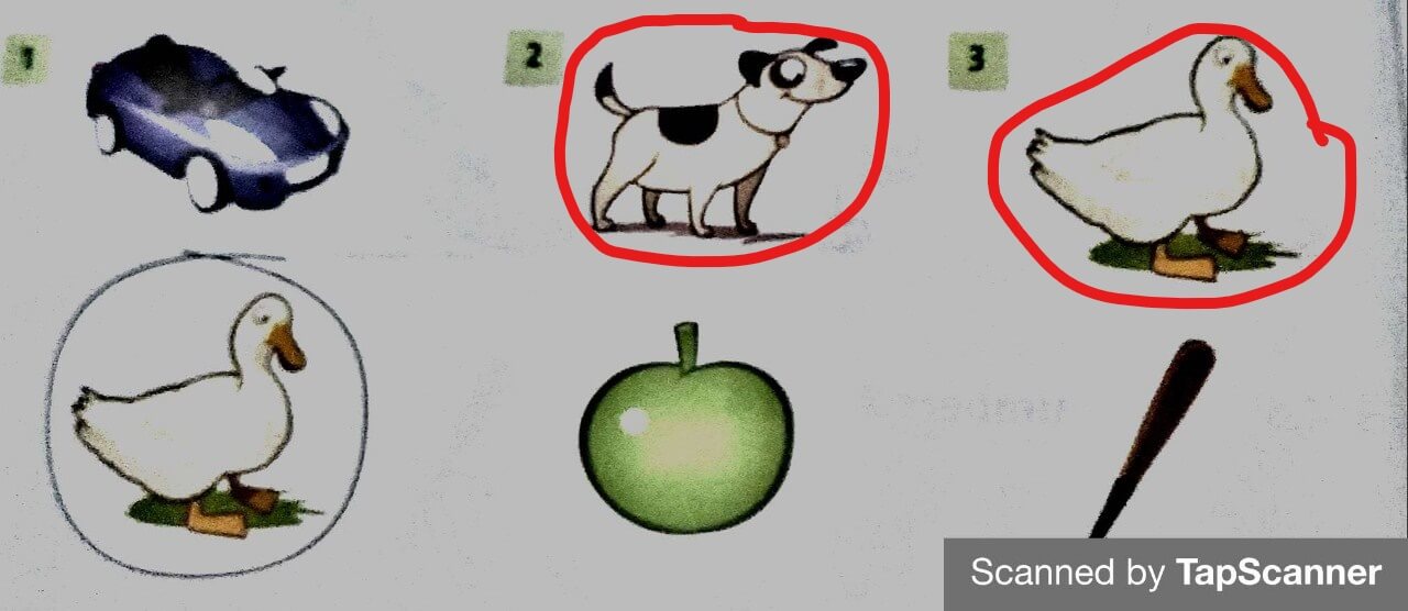 Giải SBT tiếng Anh lớp 1 Unit 1 What color is it? Lesson 5