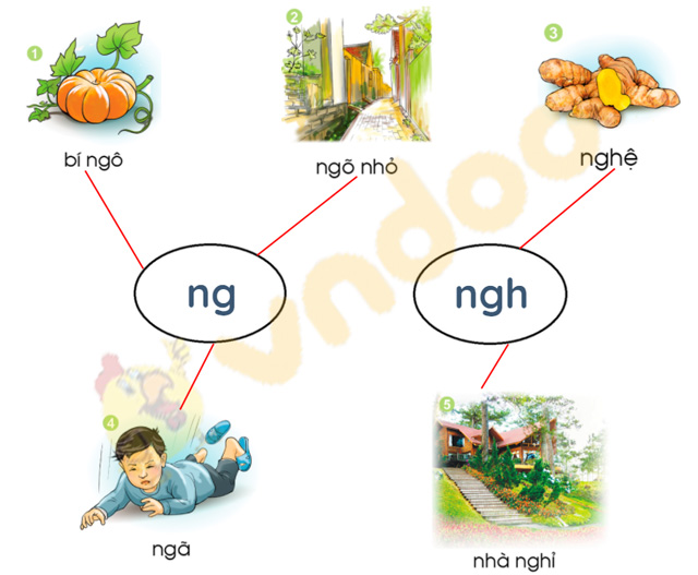 Bài 22: ng, ngh