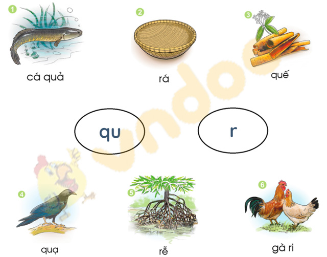 Bài 24: qu, r
