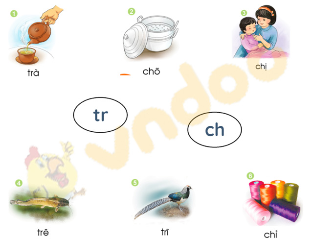 Bài 29: tr, ch