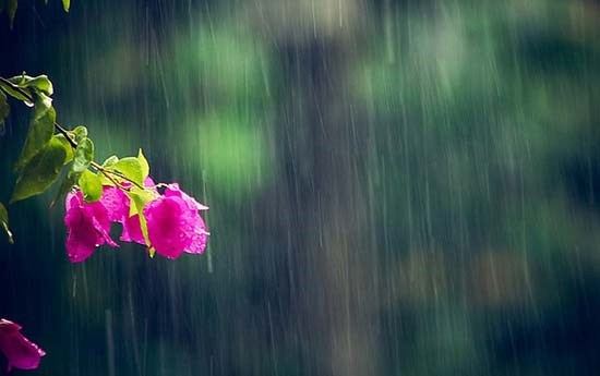 Tả cơn mưa ngắn