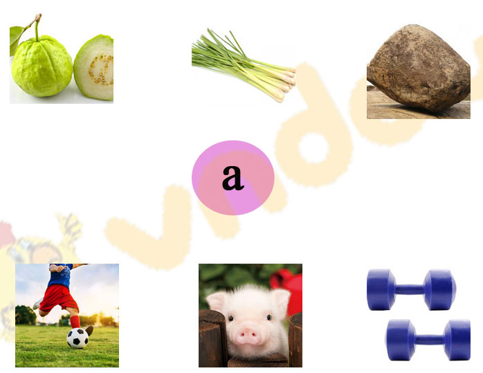 Giải Bài tập Tiếng Việt lớp 1 trang 10 Bài 1: A, a