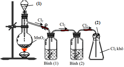 Đề khảo sát chất lượng đầu năm môn Hóa lớp 11