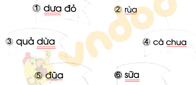 Giải Vở bài tập Tiếng Việt lớp 1 trang 23 Bài 31: ua, ưa