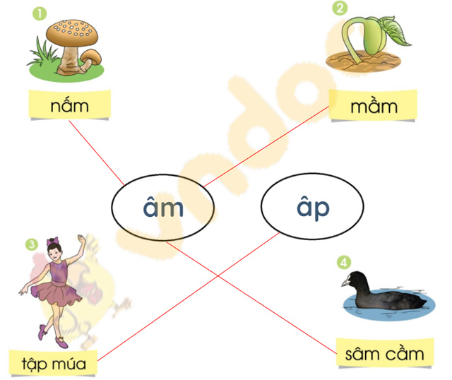 Giải bài tập Tiếng Việt lớp 1 trang 72 Bài 40: âm, âp