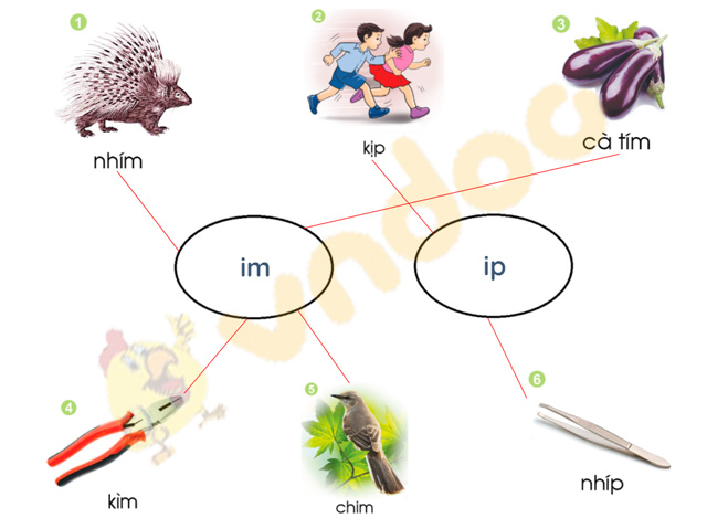 Giải bài tập Tiếng Việt lớp 1 trang 78 Bài 43: im, ip