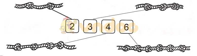 Giải vở bài tập Toán lớp 1 trang 27, 28