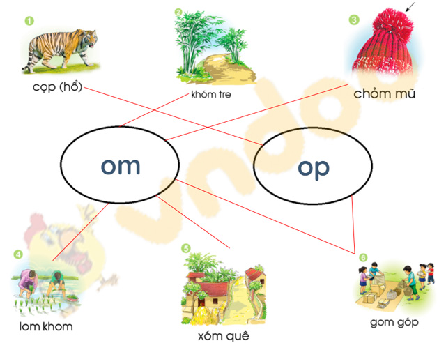 Giải bài tập Tiếng Việt lớp 1 trang 84 Bài 47: om, op