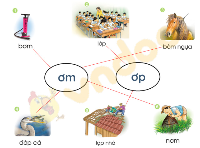 Giải bài tập Tiếng Việt lớp 1 trang 88 Bài 49: ơm, ơp