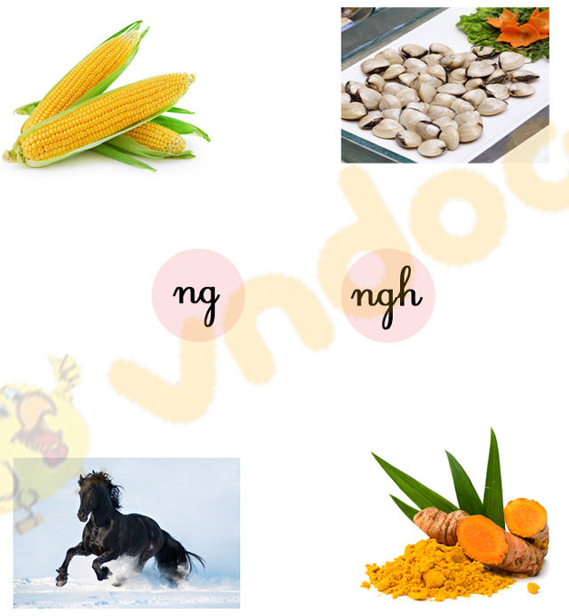 Phiếu bài tập cuối tuần Tiếng Việt lớp 1 Nâng cao - Tuần 5 - Đề 1