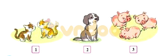 Giải Toán lớp 1 trang 11 sách Cánh Diều