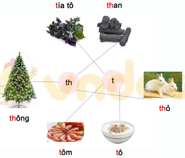 Phiếu bài tập cuối tuần Tiếng Việt lớp 1 Nâng cao - Tuần 6 - Đề 1