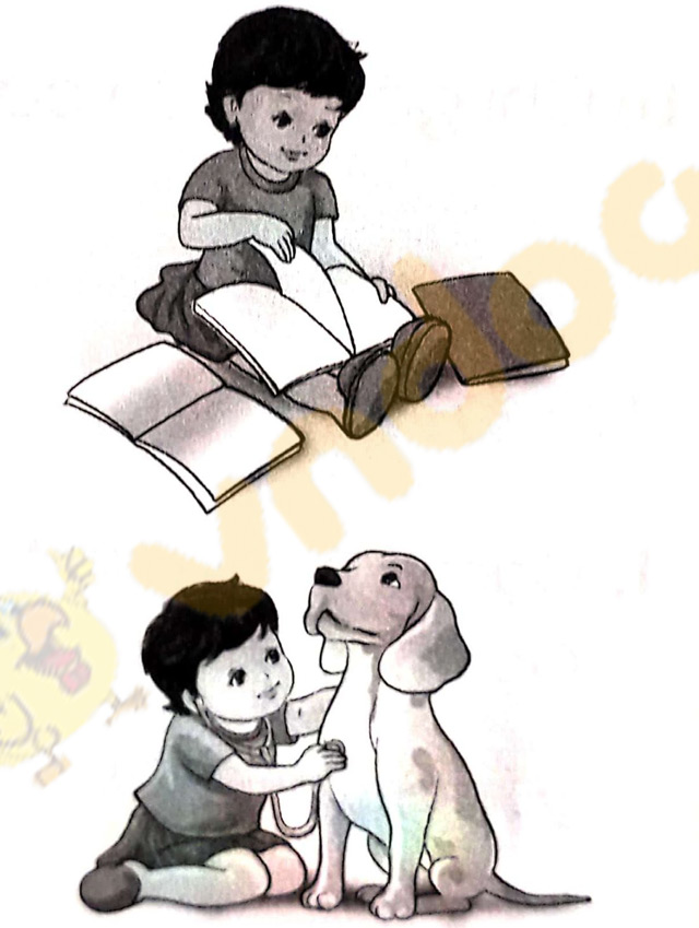 Giải Vở bài tập Tiếng Việt lớp 1 trang 28 Bài 39: Ôn tập