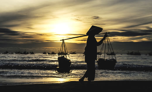 Phân tích văn bản Mẹ tôi