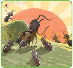 Giải bài tập Tiếng Việt lớp 1 trang 32 Bài 5: Ôn tập và kể chuyện