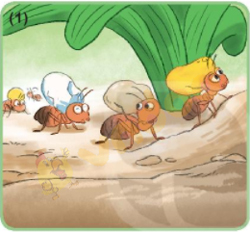 Giải Bài tập Tiếng Việt lớp 1 trang 72 Bài 30: Ôn tập và kể chuyện