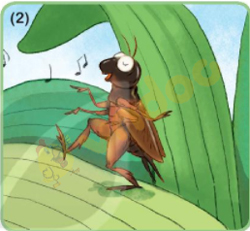 Giải Bài tập Tiếng Việt lớp 1 trang 72 Bài 30: Ôn tập và kể chuyện