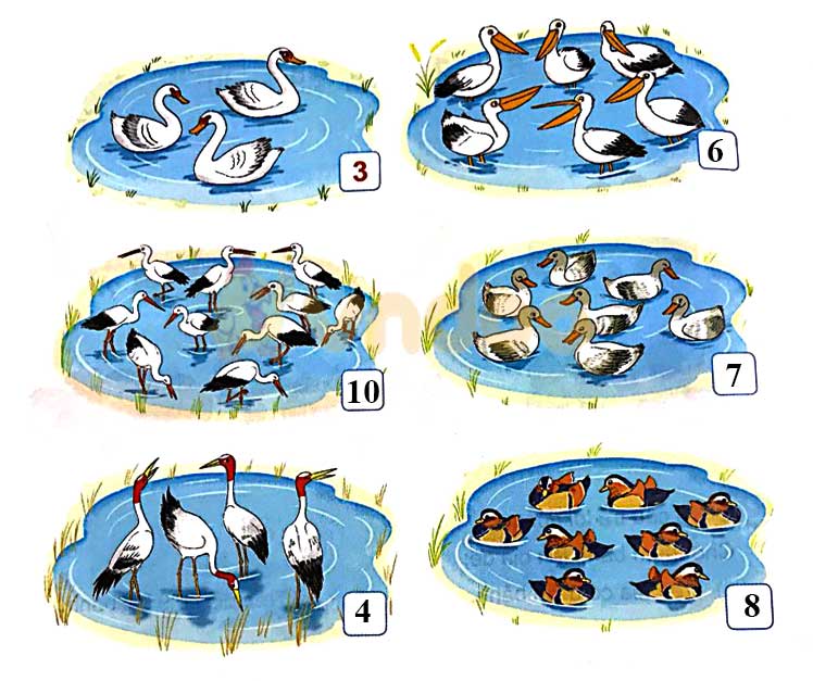 Giải Toán lớp 1 trang 16, 17 sách Kết nối tri thức với cuộc sống