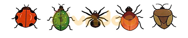 Giải Toán lớp 1 trang 16, 17 sách Kết nối tri thức với cuộc sống