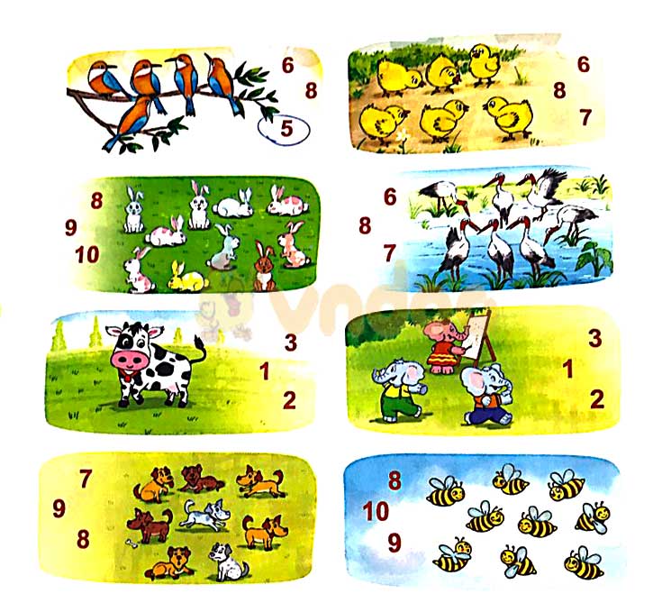 Giải Toán lớp 1 Bài 2 sách Kết nối tri thức với cuộc sống