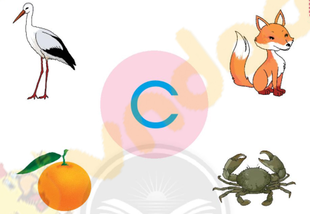 Giải Bài tập Tiếng Việt lớp 1 trang 14 Bài 3: C, c