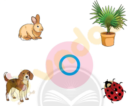 Giải Bài tập Tiếng Việt lớp 1 trang 16 Bài 4: O, o