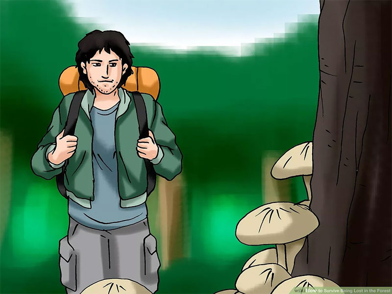 Kiểm tra khả năng sinh tồn của bạn