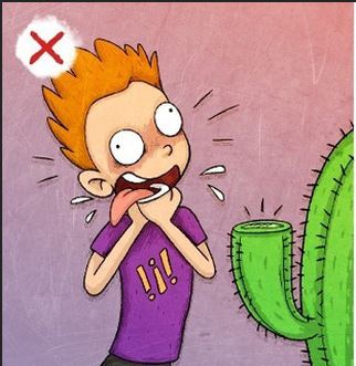 Kỹ năng sinh tồn