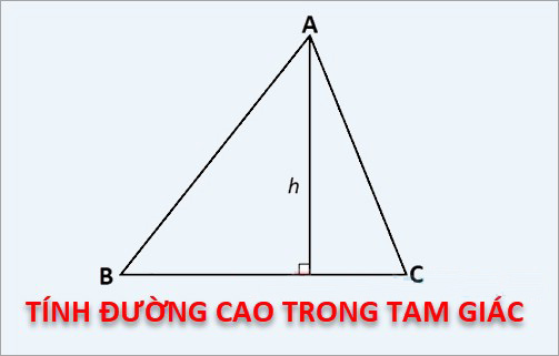 Công thức tính đường cao trong tam giác