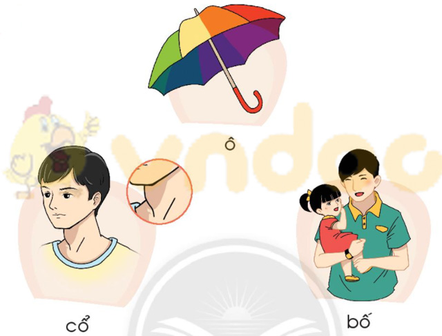 Giải Bài tập Tiếng Việt lớp 1 trang 22 Bài 2: Ô, ô