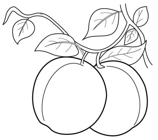 Tranh tô màu hoa quả