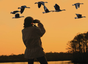 Trắc nghiệm từ vựng Unit 1 lớp 7: My hobbies