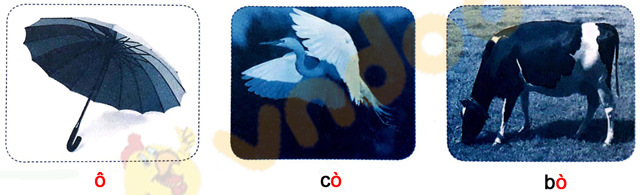 Giải Vở bài tập Tiếng Việt lớp 1 trang 10 Bài 7: Ô, ô