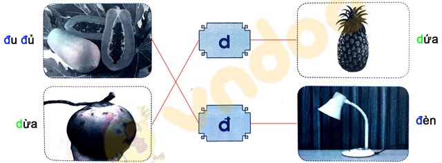 Giải Vở bài tập Tiếng Việt lớp 1 trang 11 Bài 8: D, d, Đ, đ