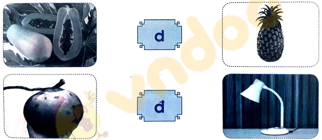 Giải Vở bài tập Tiếng Việt lớp 1 trang 11 Bài 8: D, d, Đ, đ