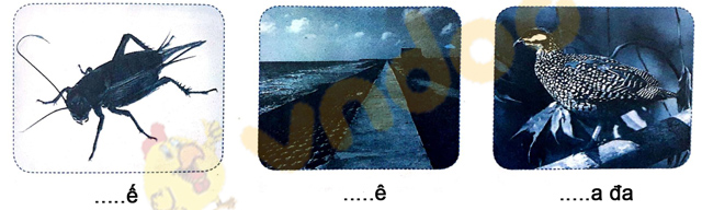 Giải Vở bài tập Tiếng Việt lớp 1 trang 11 Bài 8: D, d, Đ, đ