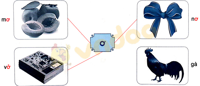 Giải Vở bài tập Tiếng Việt lớp 1 trang 12 Bài 9: Ơ, ơ