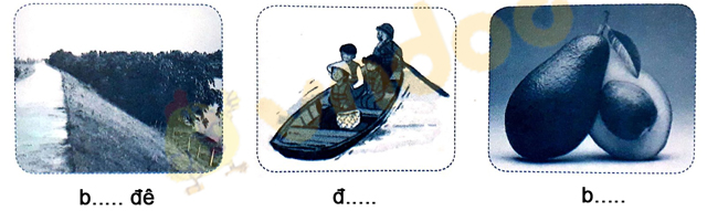 Giải Vở bài tập Tiếng Việt lớp 1 trang 12 Bài 9: Ơ, ơ