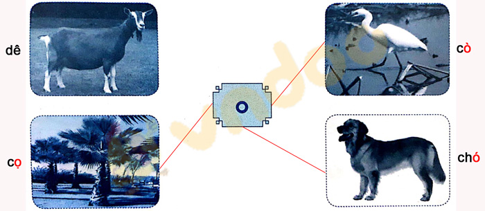 Giải Vở bài tập Tiếng Việt lớp 1 trang 9 Bài 6: O, o