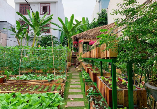 Viết một đoạn văn tả khu vườn nhà em lớp 5