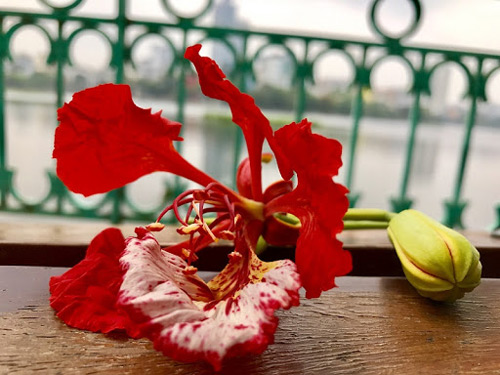 Văn mẫu lớp 7: Phát biểu cảm nghĩ về mái trường thân yêu