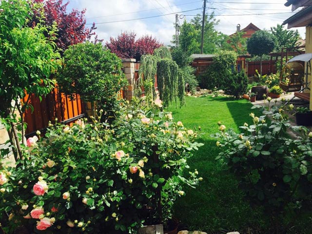 Tả cảnh buổi chiều trong vườn cây