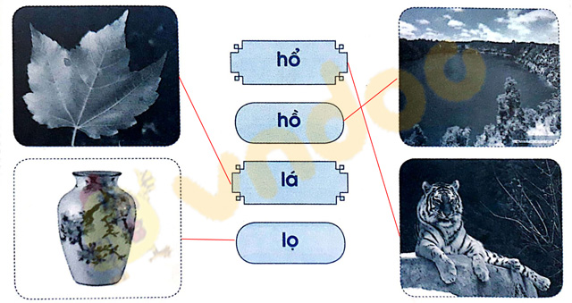 Giải Vở bài tập Tiếng Việt lớp 1 trang 14 Bài 12: H h L l