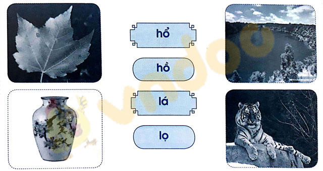 Giải Vở bài tập Tiếng Việt lớp 1 trang 14 Bài 12: H h L l