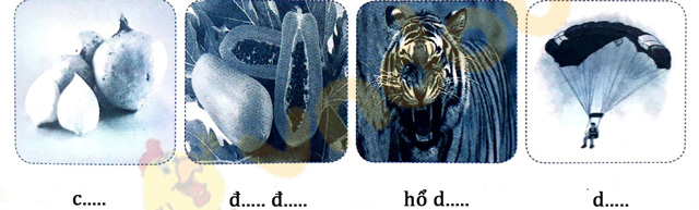 Giải Vở bài tập Tiếng Việt lớp 1 trang 15 Bài 13: U u Ư ư